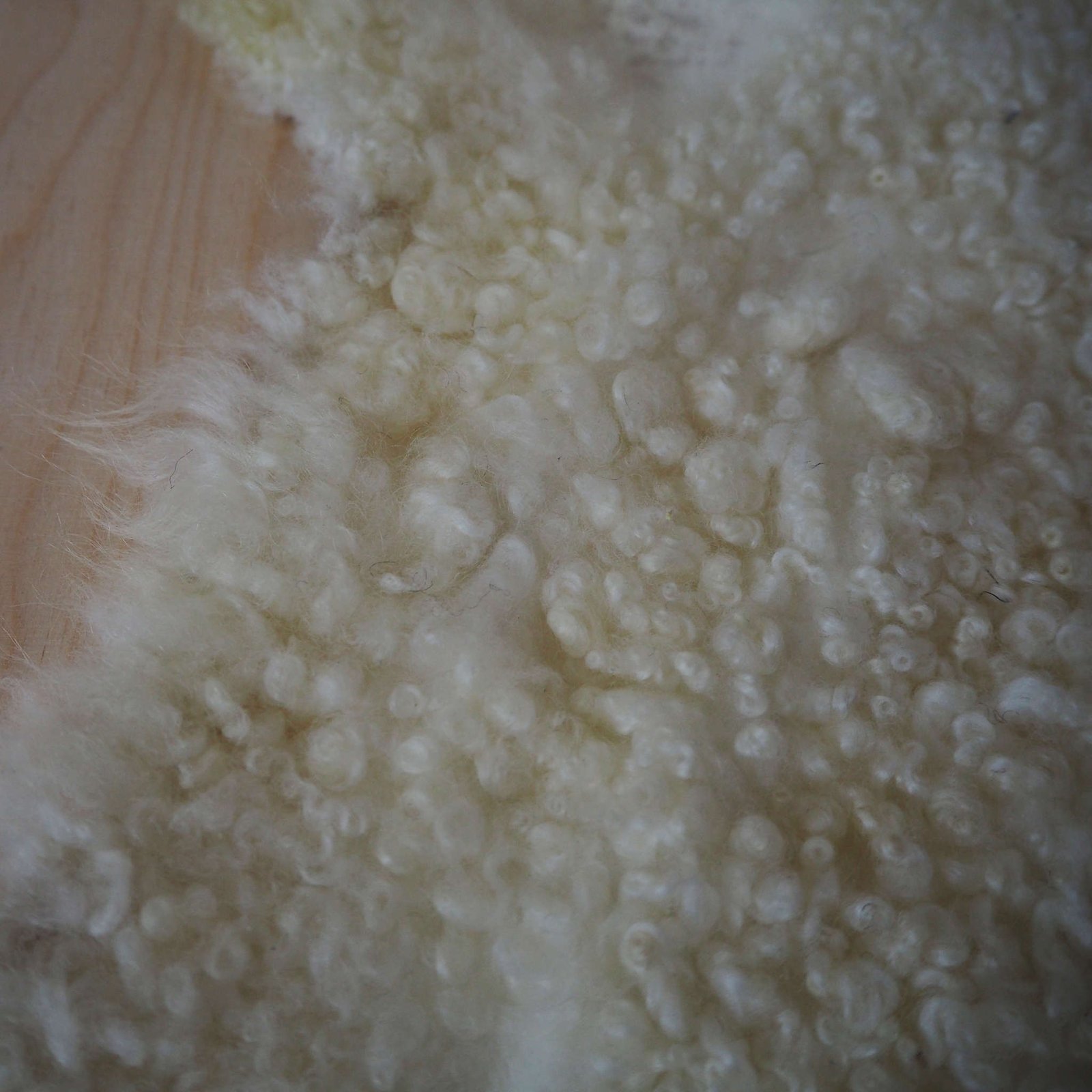 Valkoinen karitsantalja - Image 2