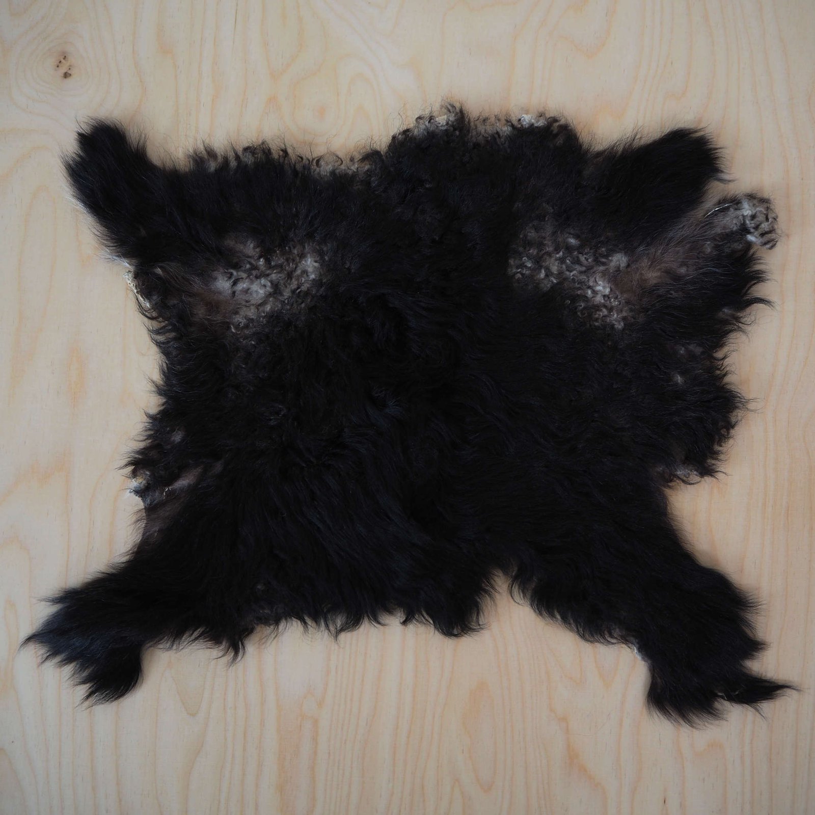 Kainuunharmaa karitsantalja