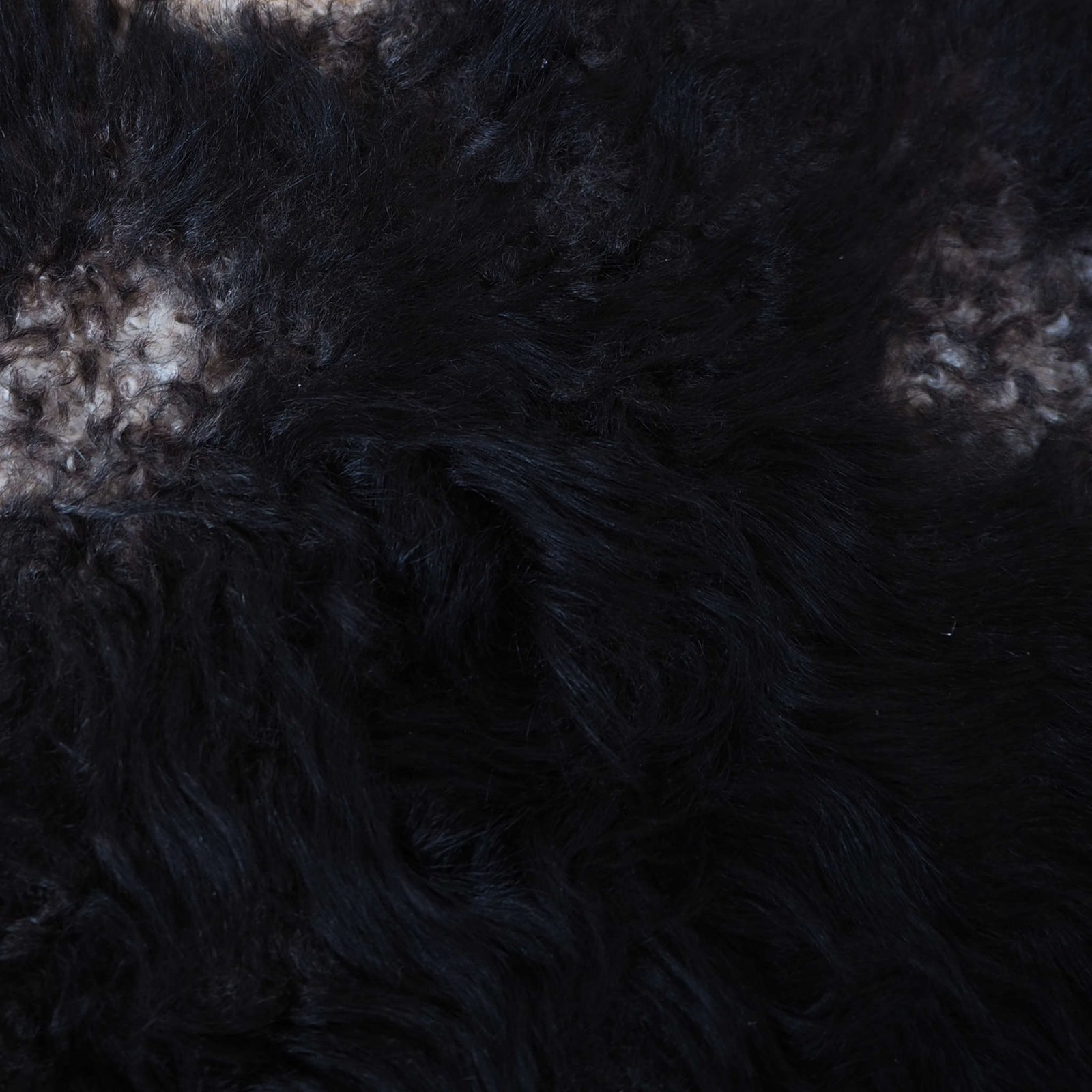 Kainuunharmaa karitsantalja - Image 2