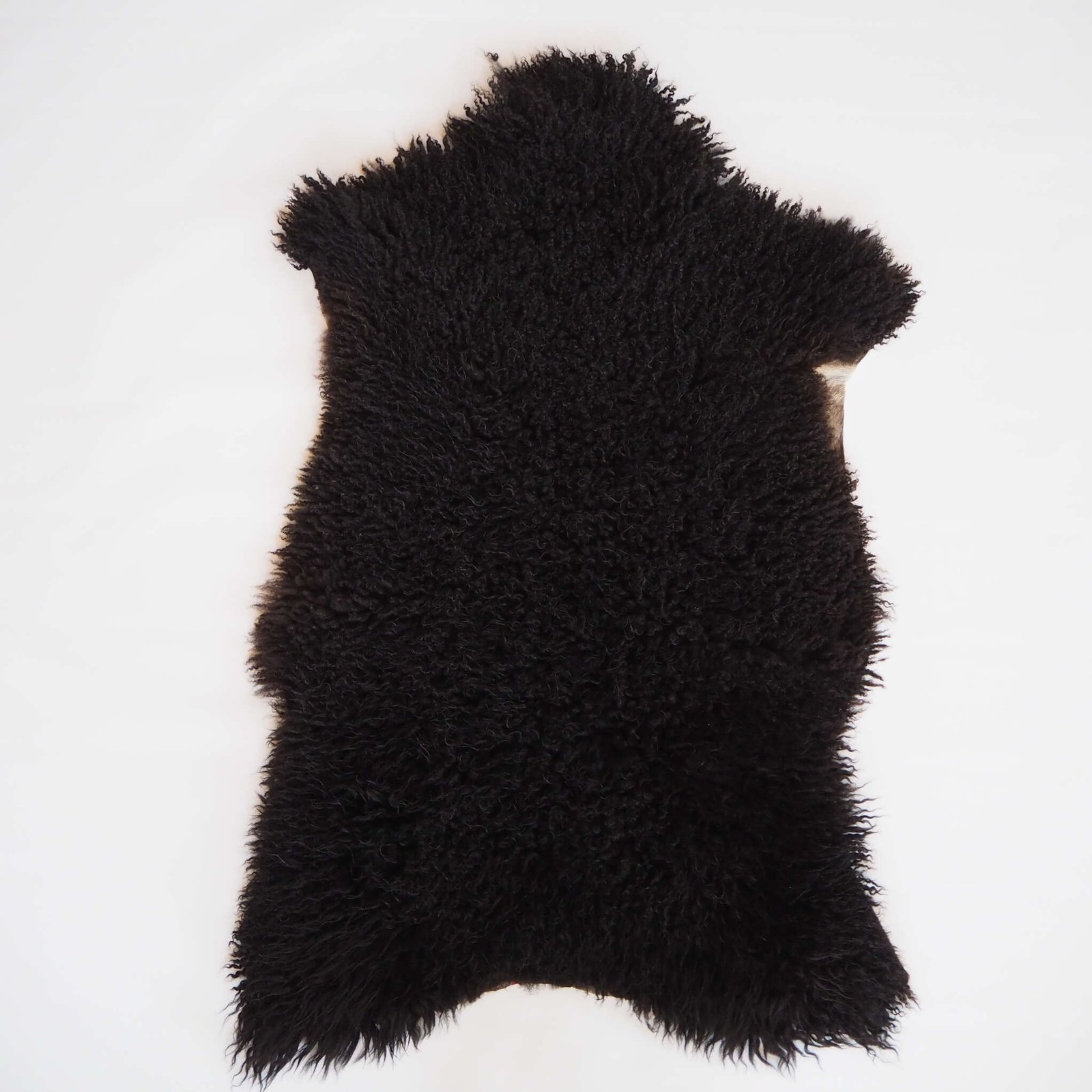 Musta lampaantalja - Image 2