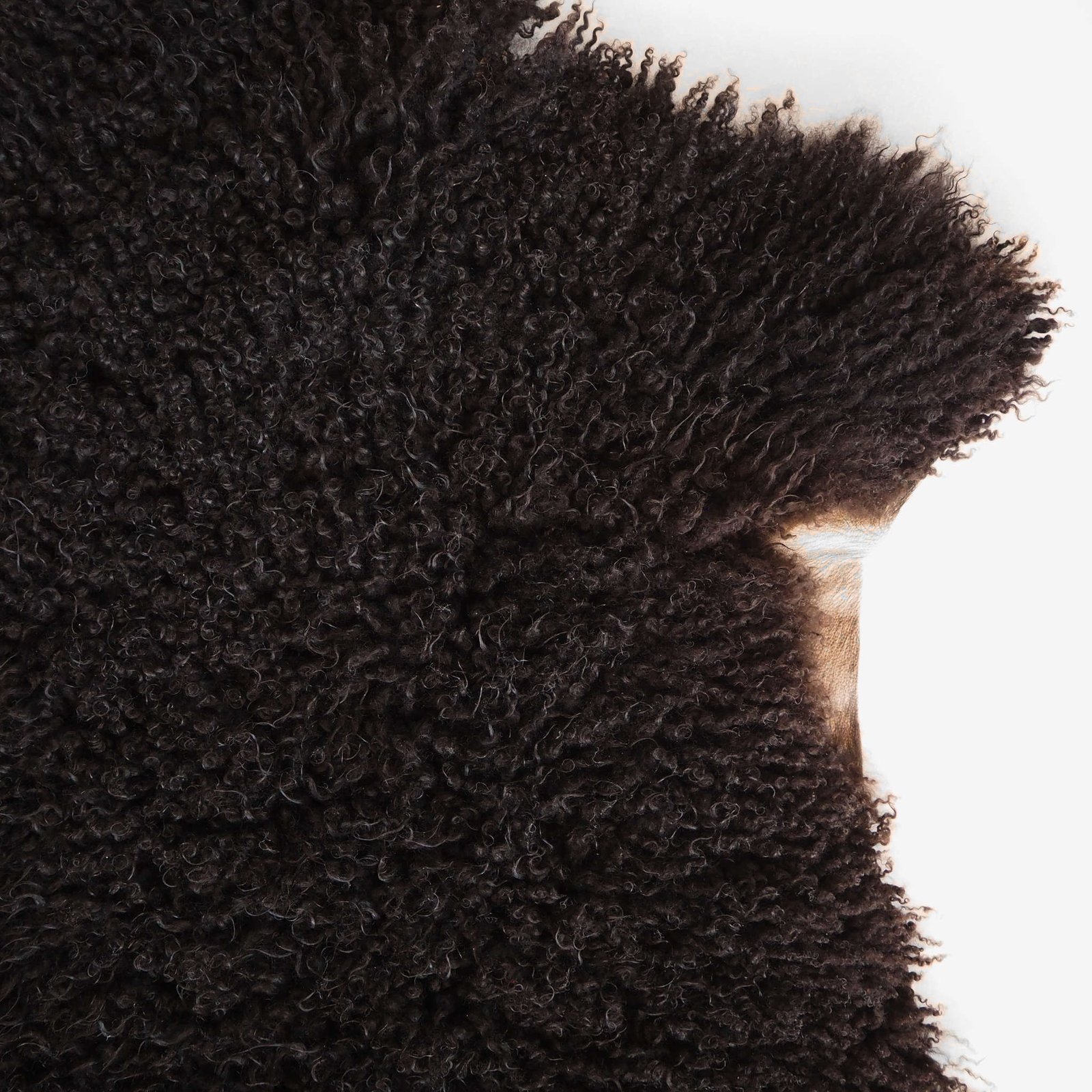 Musta lampaantalja - Image 3