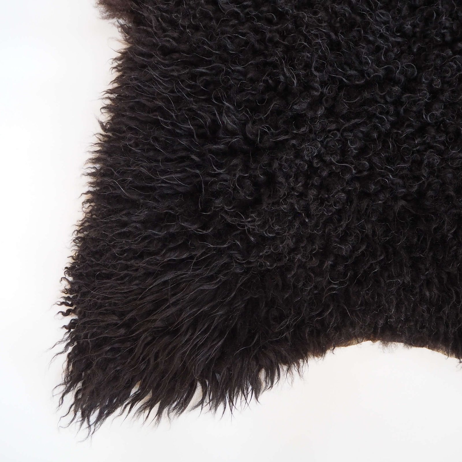 Musta lampaantalja - Image 4