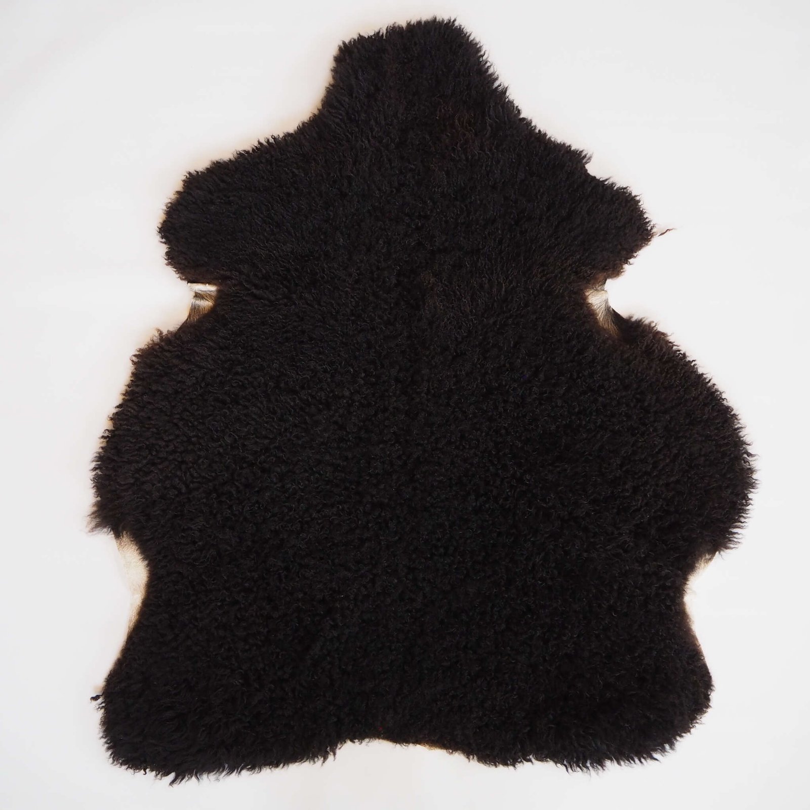 Musta lampaantalja - Image 2