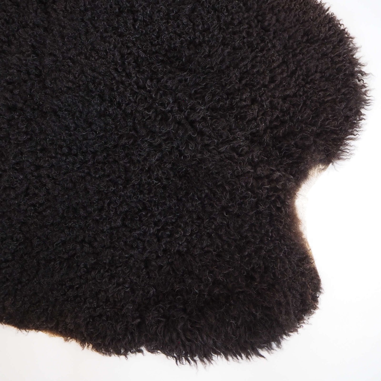 Musta lampaantalja - Image 3