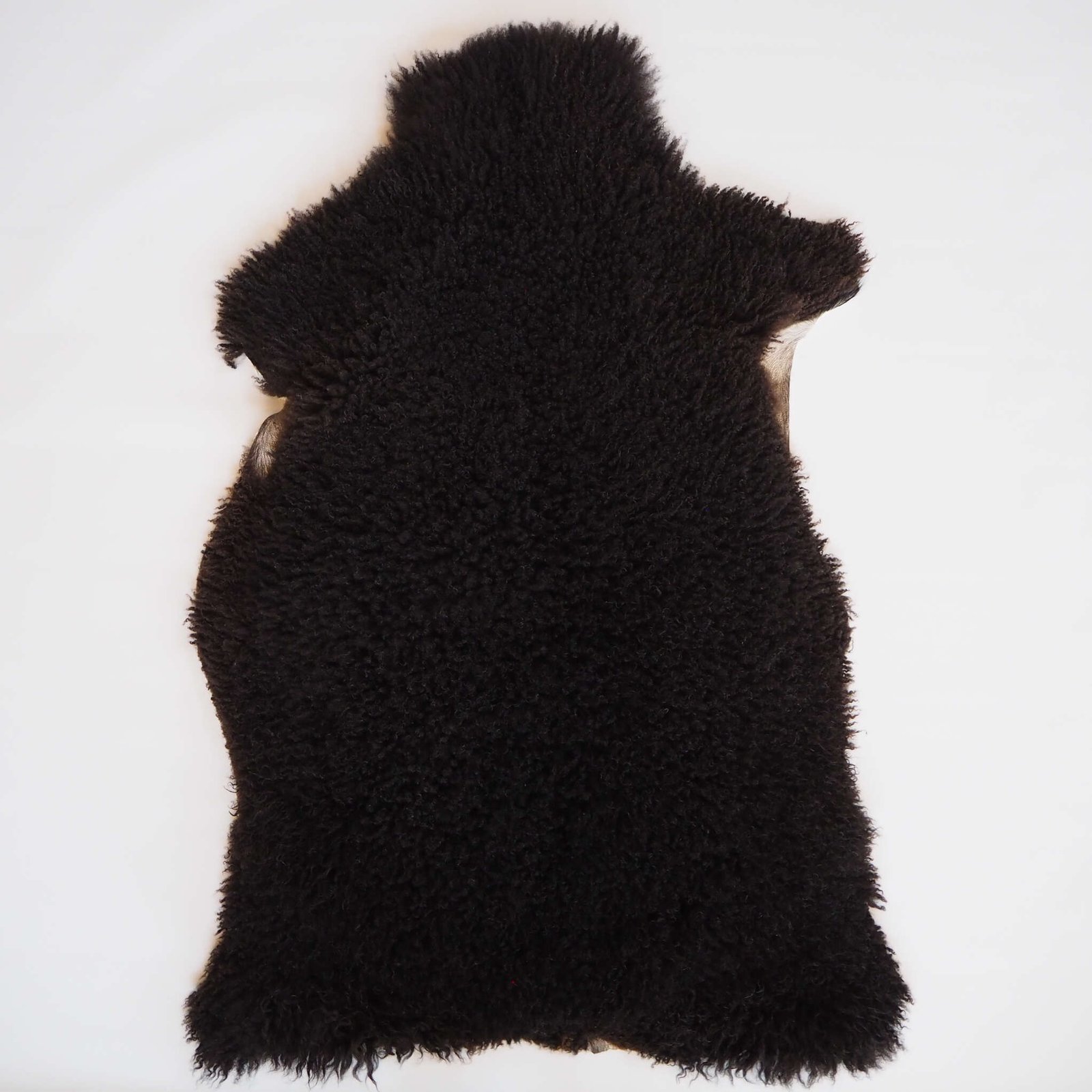 Musta lampaantalja - Image 2