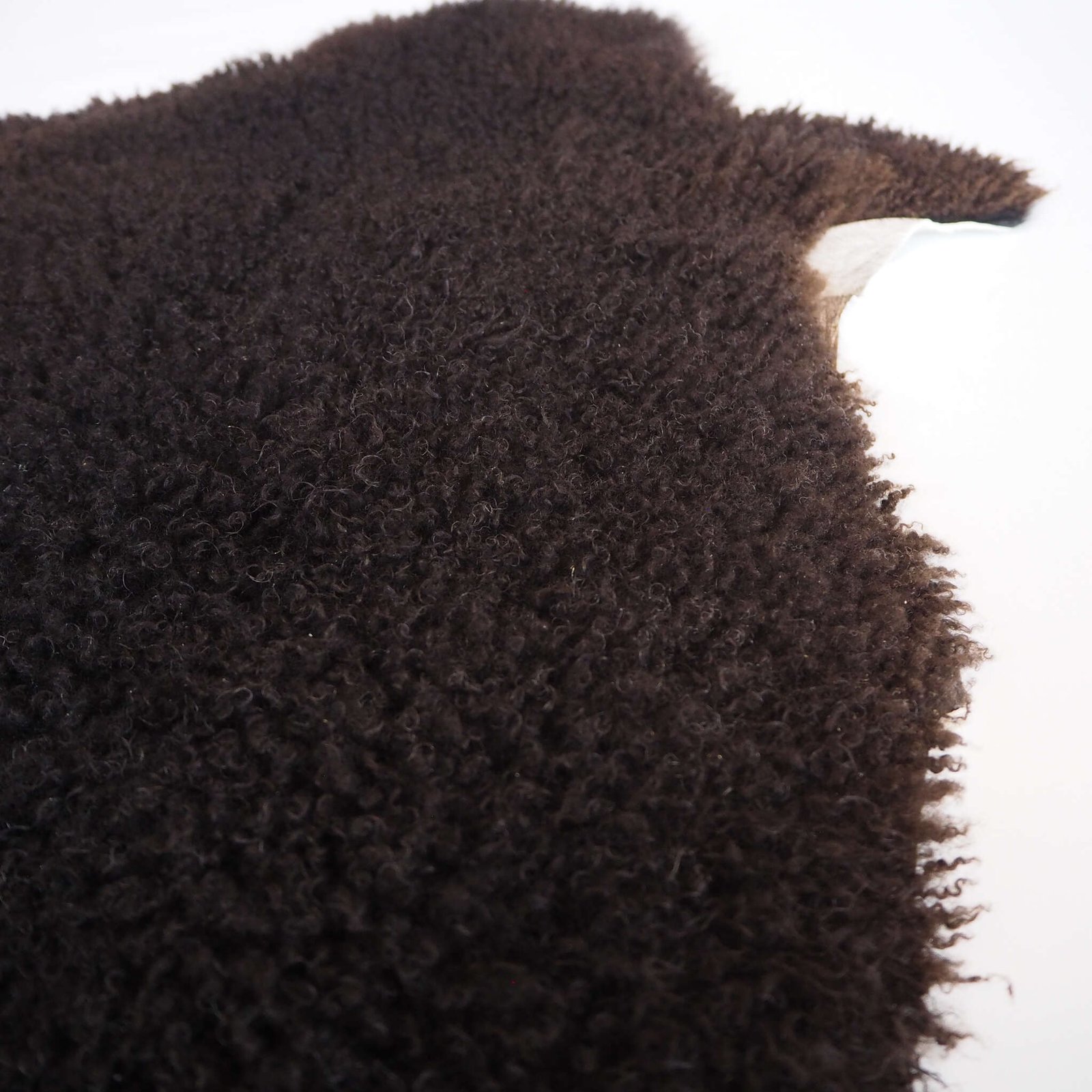 Musta lampaantalja - Image 6